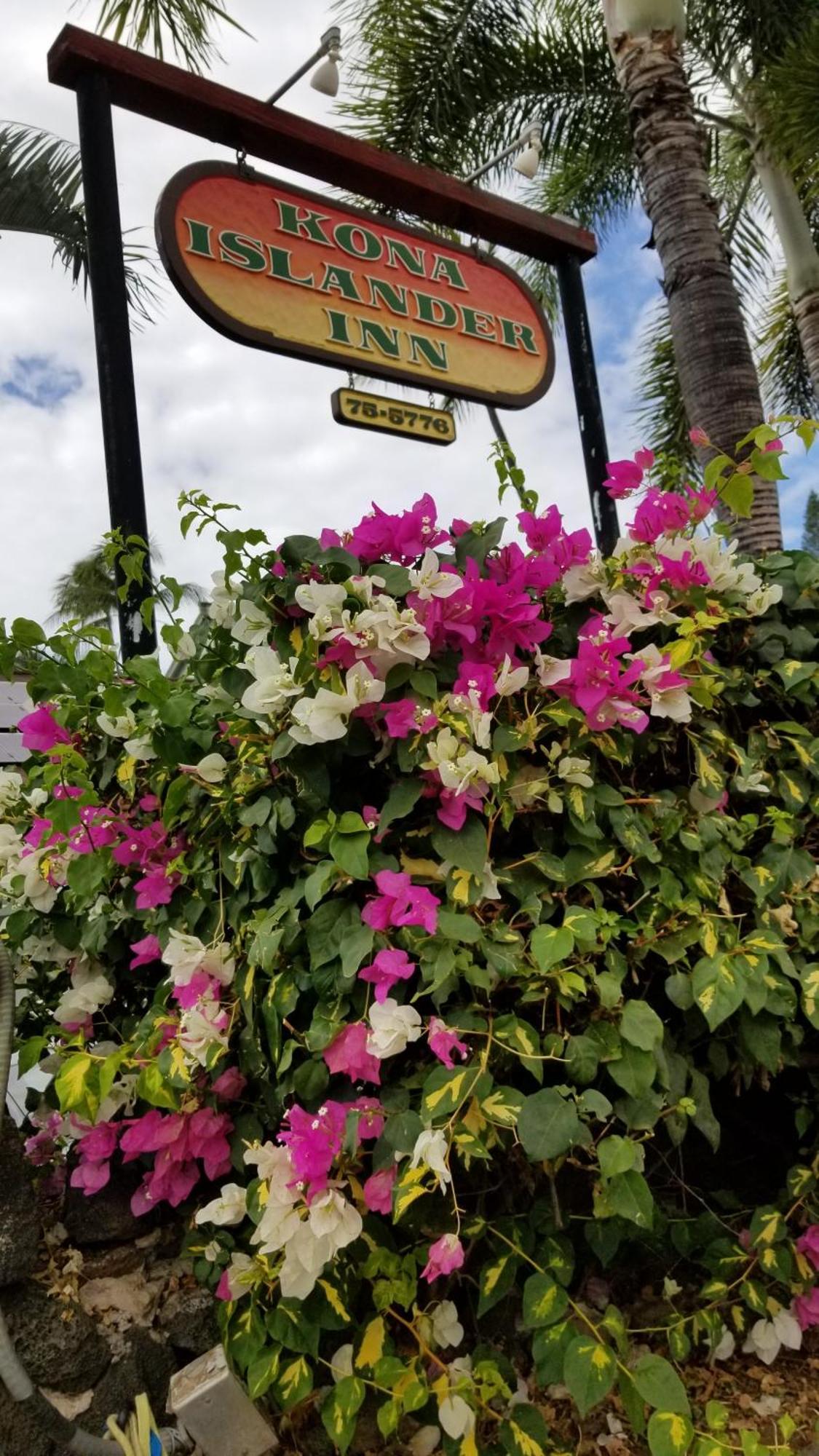 Downtown Hawaiian Theme Condo With Hot Tub, Pool & Beach - Kona Islander Inn Kailua-Kona Eksteriør bilde